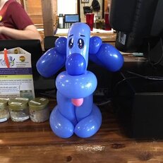 blue dog.jpg